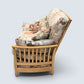 Ercol Renaissance 2 Seater Sofa Original Upholstery #1068/2 FREE UK Delivery