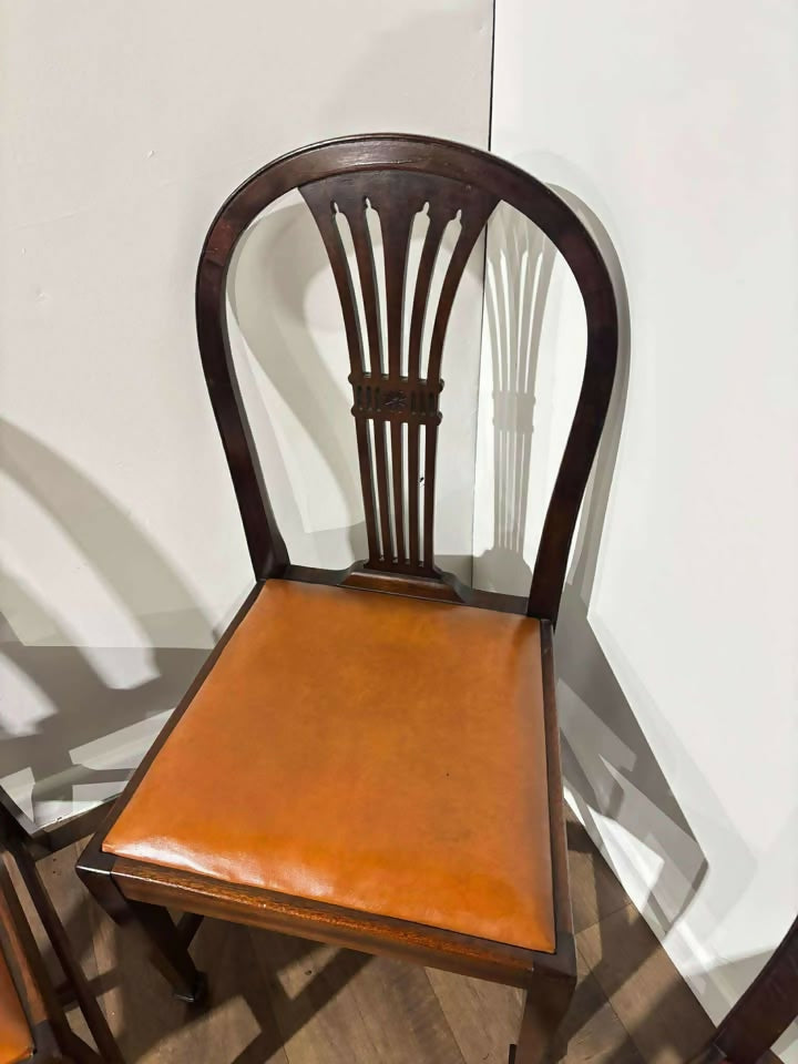 Set of Six Vintage Mahogany Dining Chairs - two of which are carvers.
