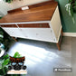 Photoroom_20240213_163820