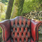 Vintage Oxblood Chesterfield Queen Anne Armchair High Back Button Back Well Worn