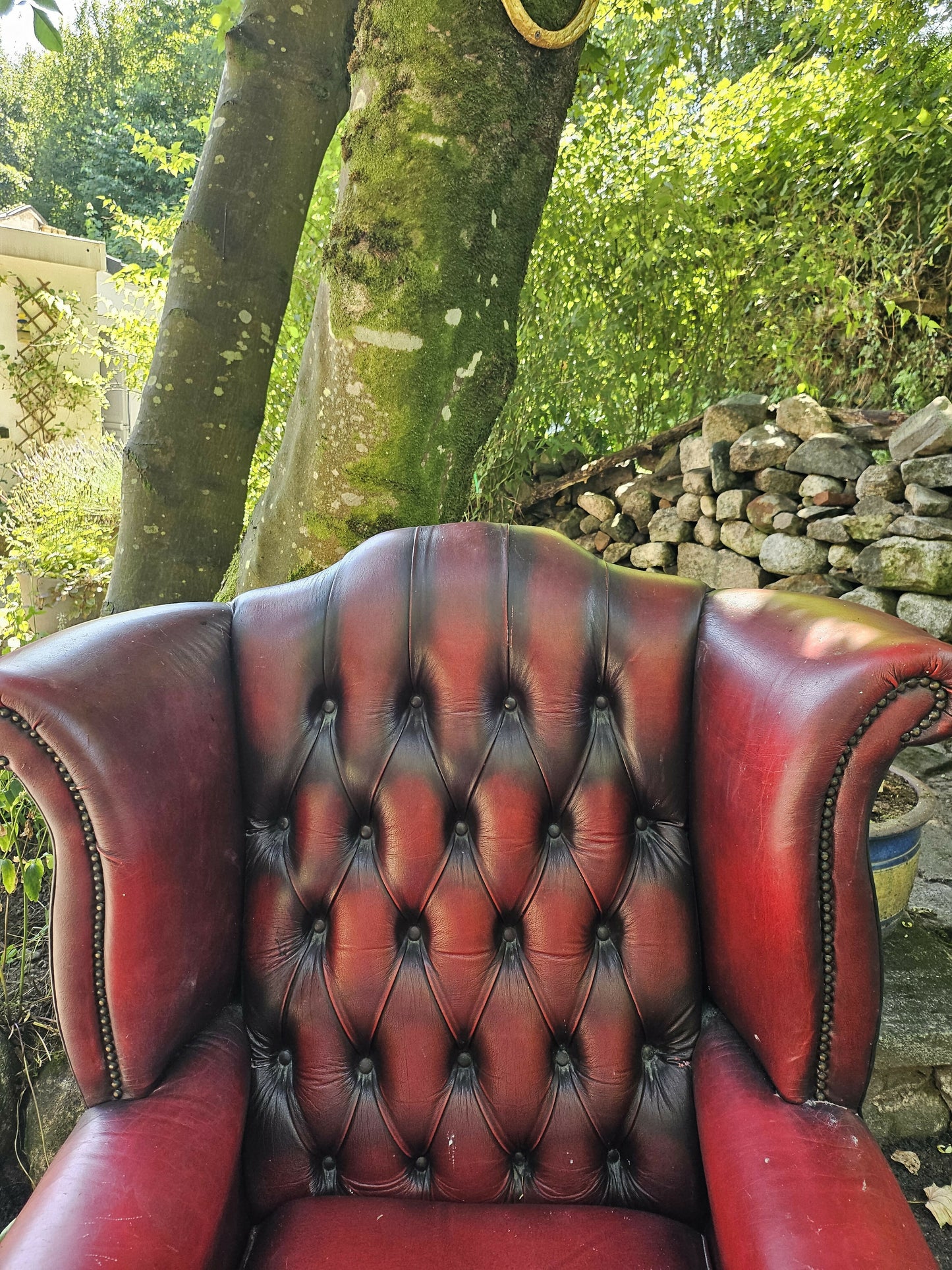 Vintage Oxblood Chesterfield Queen Anne Armchair High Back Button Back Well Worn