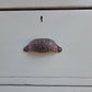 Large Victorian Pine Chest of Drawers