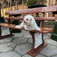 Original GWR Vintage Platform Bench – Vintage Railway Seating 178cm