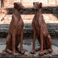Life Size Pair Of Whippet / Greyhound Vintage Garden Statues.