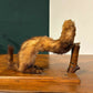 Taxidermy of A Pole Catbn