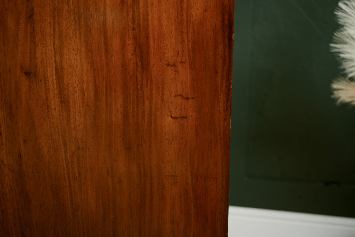 Georgian Mahogany Hall Robe / Single Wardrobe / Coat Storage