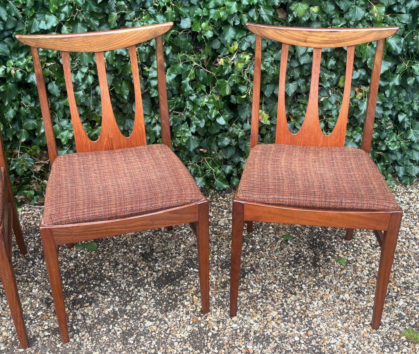 Vintage 1960's G Plan Brasilia Teak Dining Chairs
