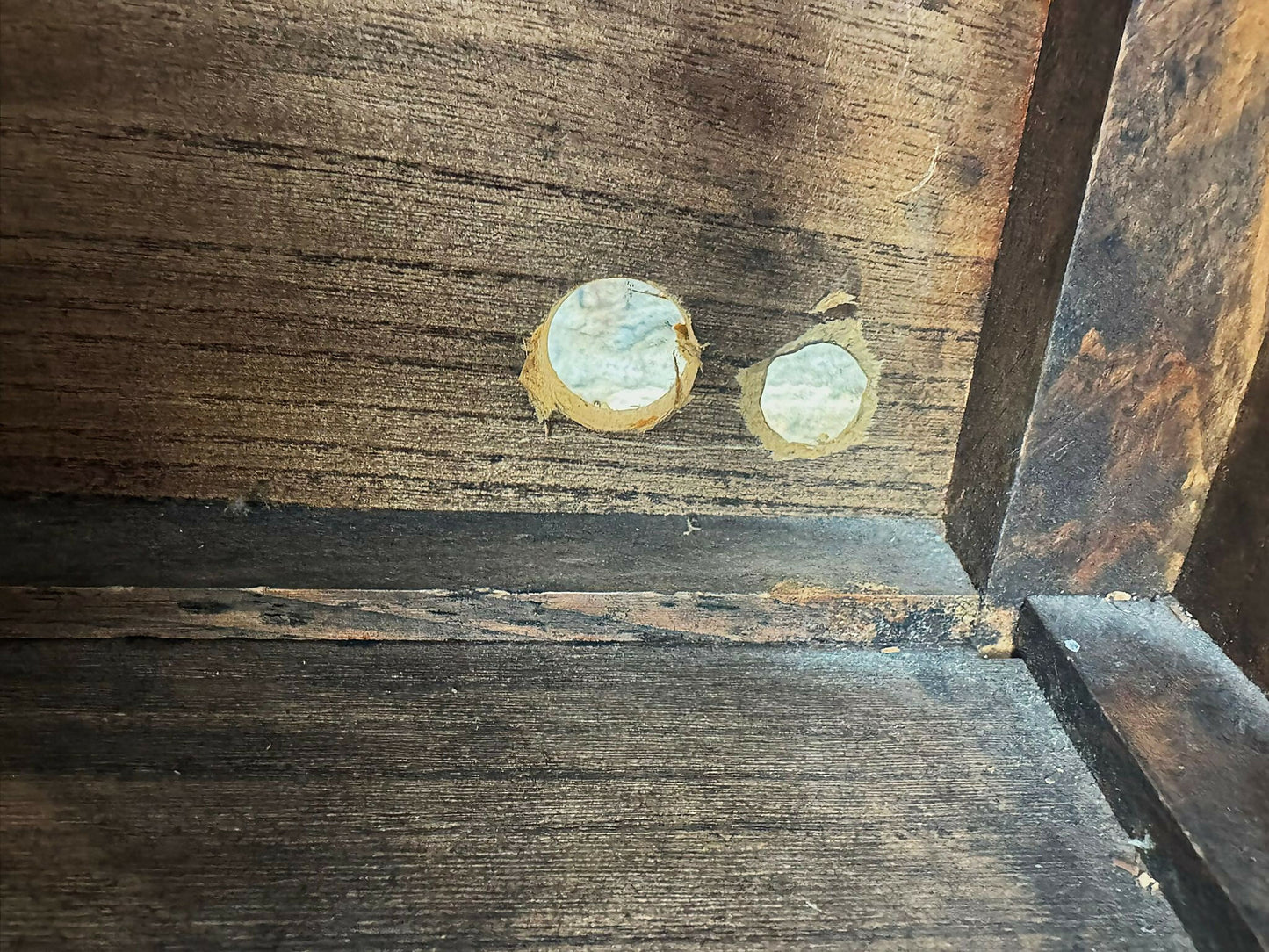 Oriental Chinese Decorated Wardrobe / Cupboard