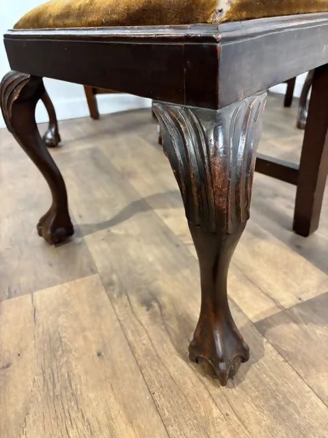 Victorian Set of Four Mahogany Dining Chairs