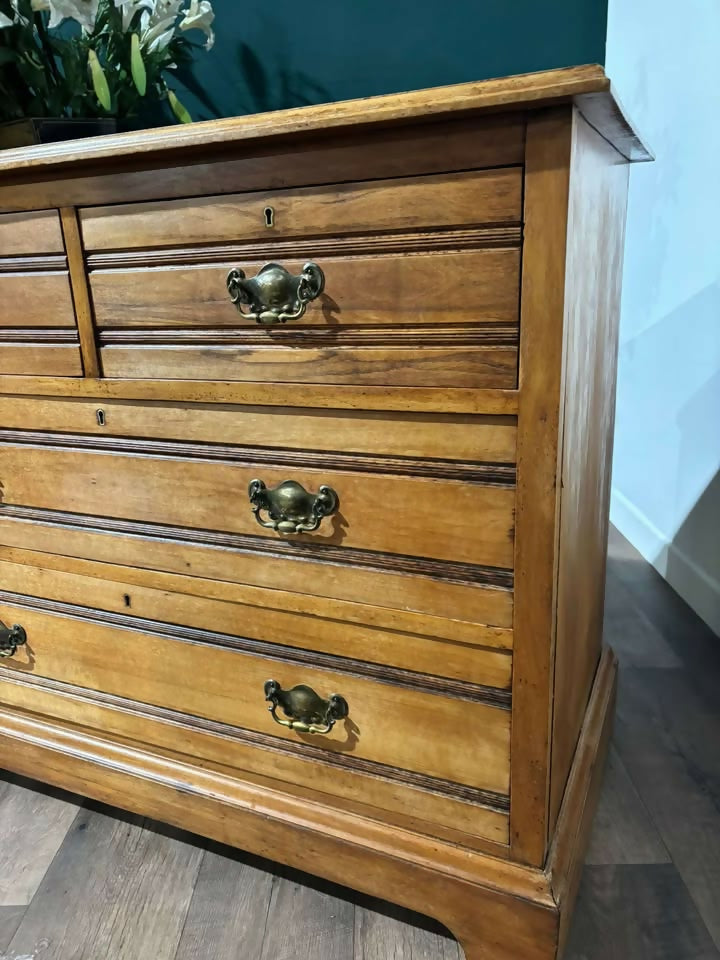 Edwardian Satinwood Chest of Drawers3