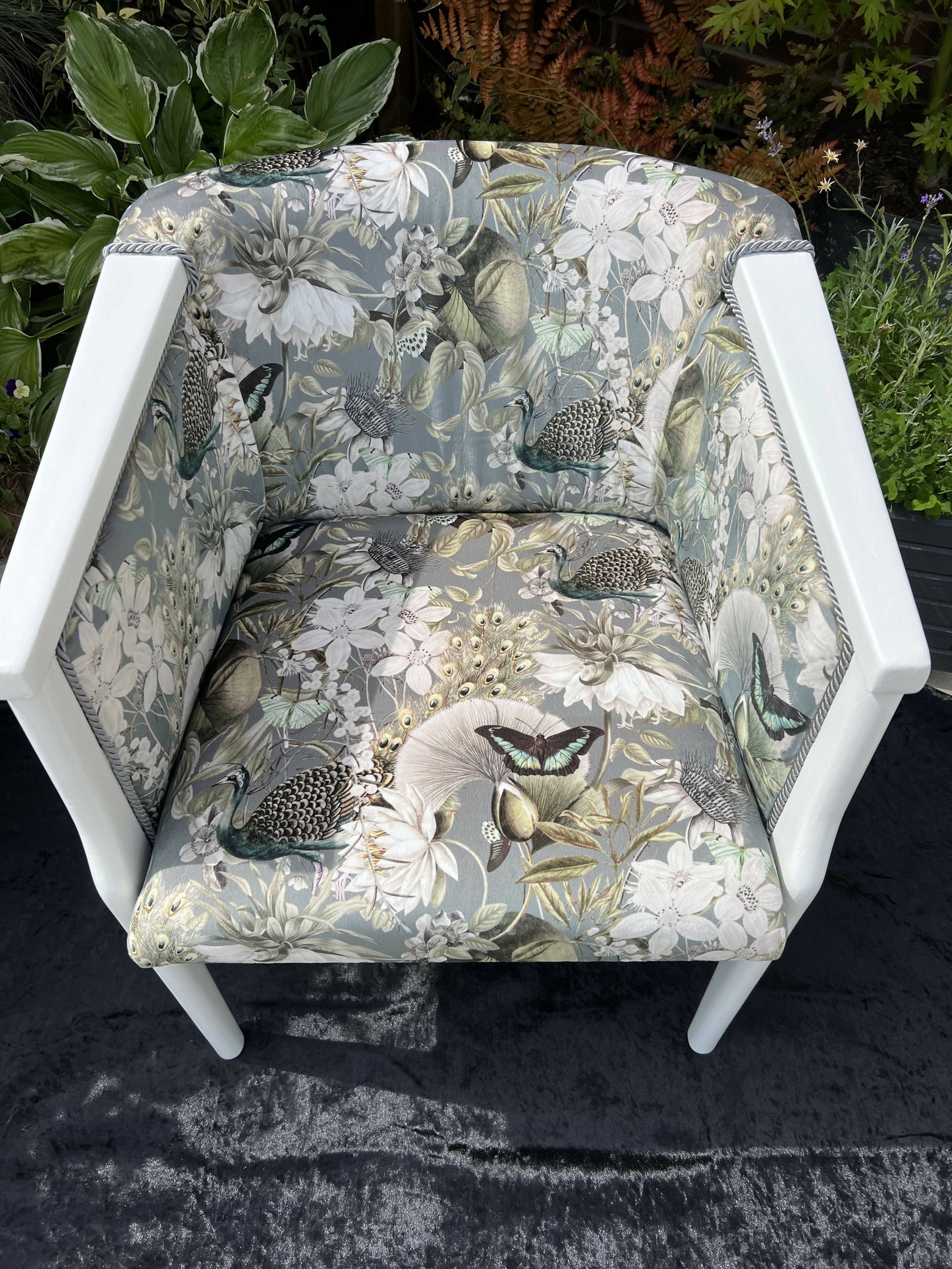 Peacock Tub Chair