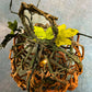 Large wicker pumpkin lantern light