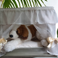LUXURIOUS FOUR POSTER DOG BED