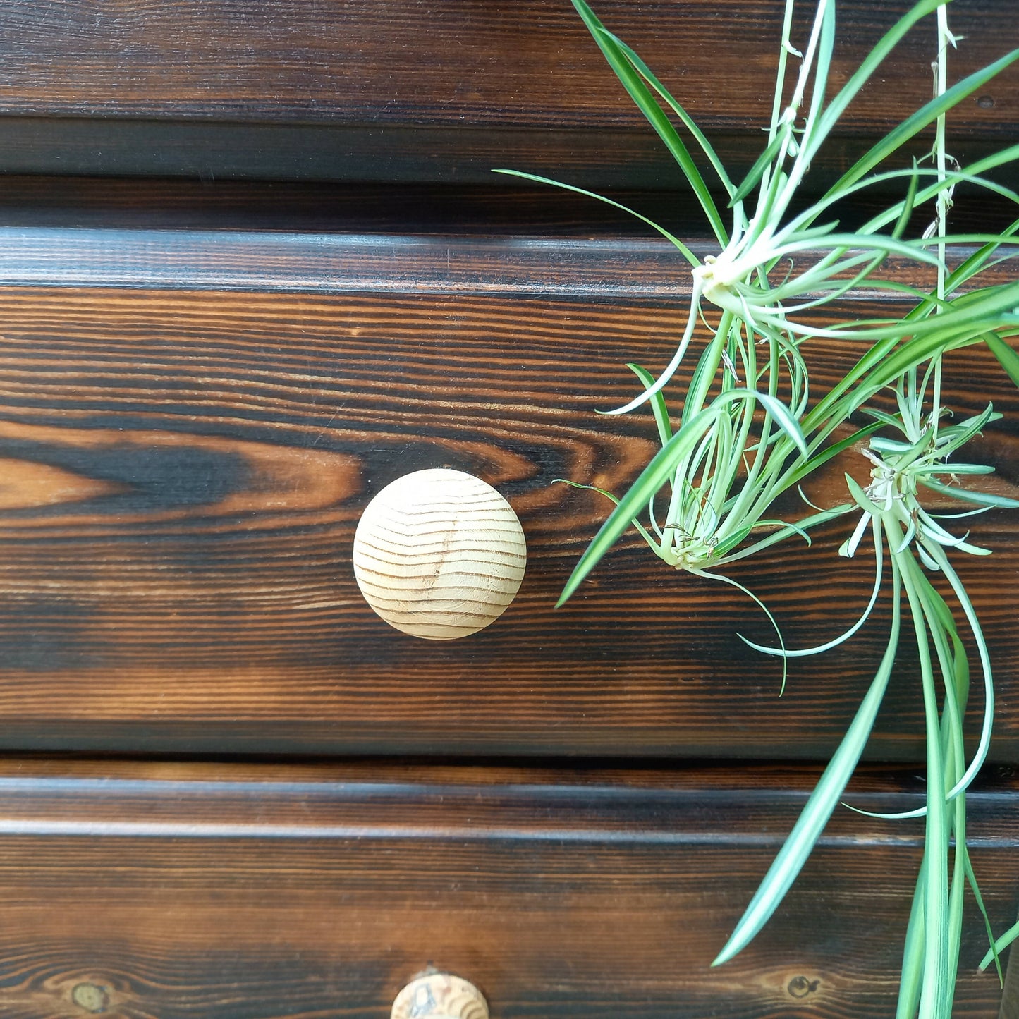 Burnt Wood Chest of Drawers