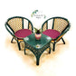 Plant Lovers Bamboo Rattan armchairs & coffee table set