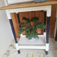 Solid Wood Side Table Plant Stand