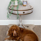 Duncan Phyfe Style Round Table