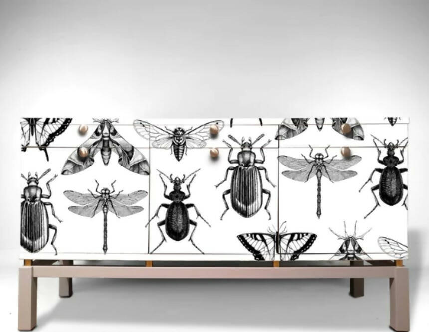 Upcycled Modern Sideboard with Big Bug Design